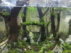 -海南热带海洋学院(三亚校区)