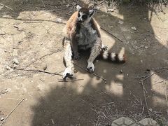 -宁波野生动物园