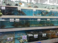 水产区-秋姐美食店(旅游大道店)