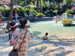 -三亚湾海居雅高铂尔曼度假酒店