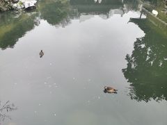 -中山詹园