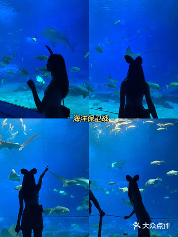 珠海长隆海洋王国&马戏|马戏酒店攻略