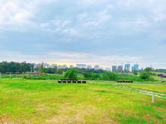 -白鹭湾湿地公园