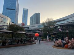 -南昌之星摩天轮