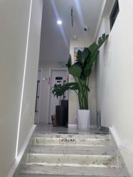 -海涛医疗美容·面部抗衰·注射美鼻