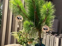 -100家灵感仓库·DIY团建(什刹海店)