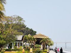 -大湾区中央湿地公园