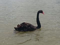 -昆山城市生态森林公园