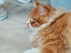 -吉派索自家烘焙咖啡馆(千佛山店)