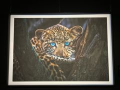 -罗红摄影艺术馆