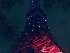 -东京塔海贼王主题公园