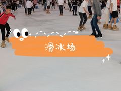 -世界之窗阿尔卑斯冰雪世界