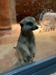 -酷嗒动物文化乐园(cutezoo西溪乐天城店)