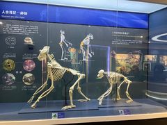 -国家自然博物馆