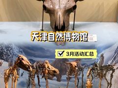 -天津自然博物馆