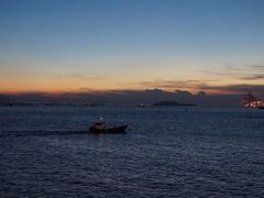 -演武大桥观景平台