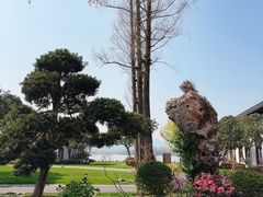 -杭州西湖柳莺里酒店