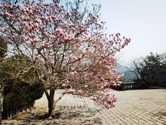 -居庸关长城