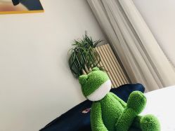 -美肤盾祛痘·问题肌头疗管理中心