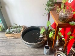 -艾米丽儿童摄影