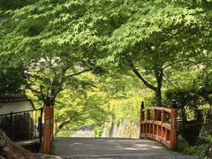 -三千院
