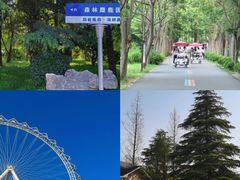 -前王院•巧克力海鲜市集餐厅(万平口店)