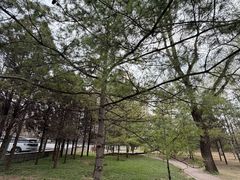 -森林公园(尖草坪区)