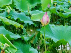 -贵阳蓬莱仙界
