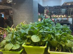 -不倒翁·安徽名菜楼(步行街店)