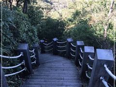 -梧桐山风景名胜区