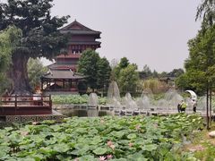 -东台西溪天仙缘景区