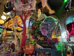 -Famous肥猫墨西哥音乐餐吧(五棵松华熙LIVE店)