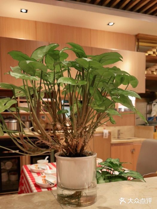西贝莜面村(正大广场店)图片