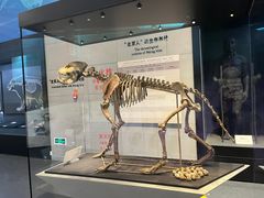 -北京周口店北京人遗址博物馆