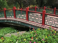 -秀丽东方