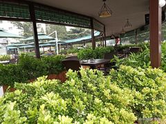 -一轩饺子馆(丽都店)