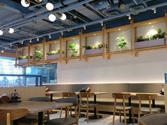 -翡翠拉面小笼包Crystal Jade(上海浦东国际机场T1店)