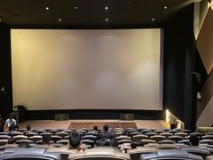 -英皇电影城(平安金融中心IMAX激光店)