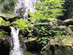 -藏龙百瀑风景区