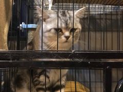 -伽利略剧本探案馆(国贸店)