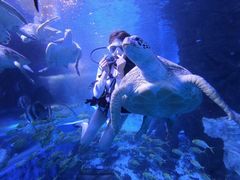 -太平洋海底世界