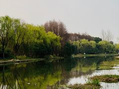 -新江湾城公园
