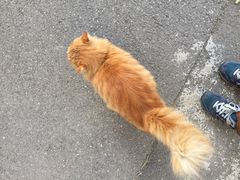 -中央财经大学-食堂