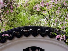 -深圳国际园林花卉博览园