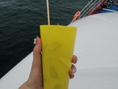 -海驴岛(荣成市)