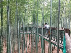 -陶祖圣境风景区