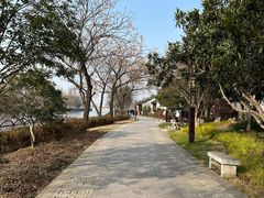 -枫桥景区
