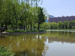 -泰丰公园