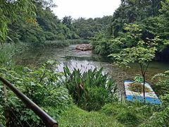 -花溪公园