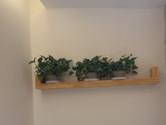 -金塔傣乡·云南民族特色菜·傣味手抓饭(金瓦路店)